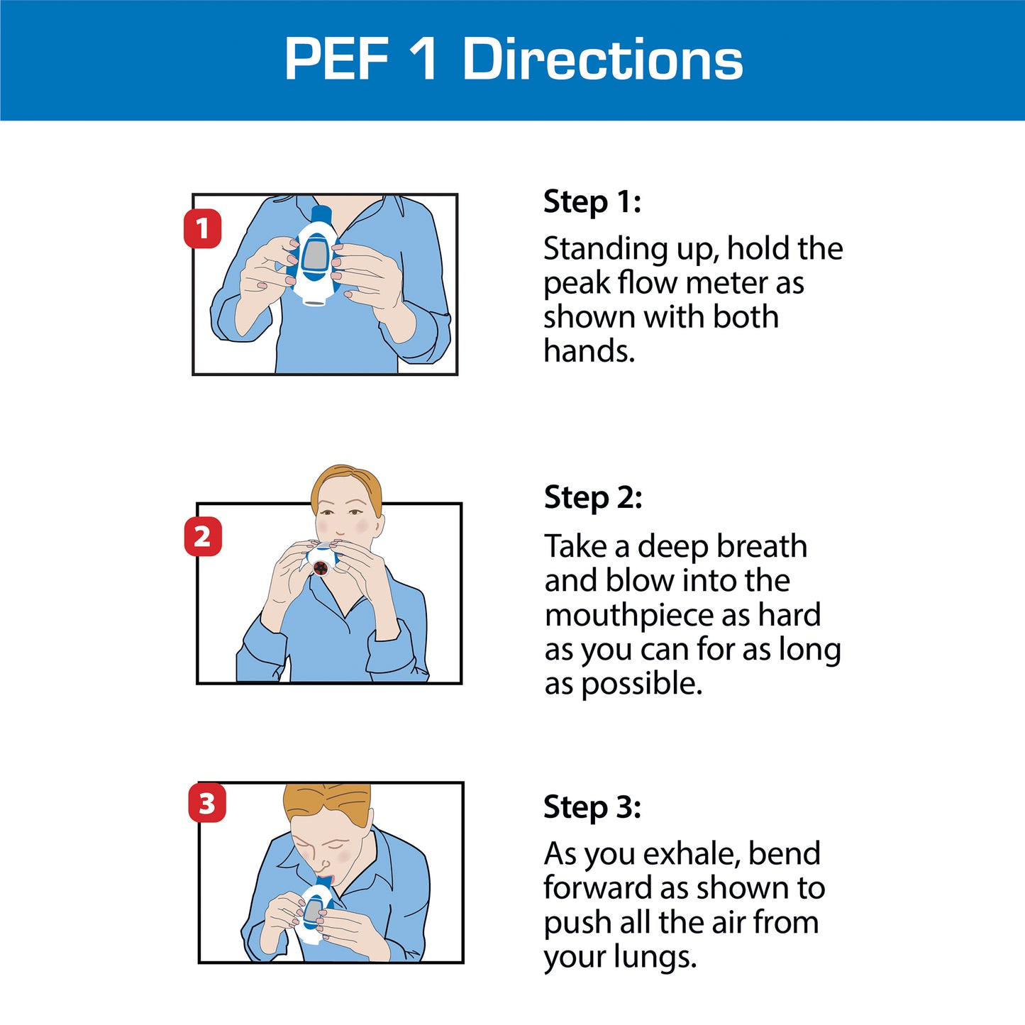 Peak Flow Meter Replacement Mouthpieces, 3-Pack